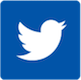 Twitter icon
